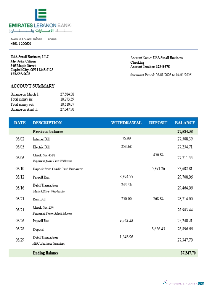 Emirates Lebanese organization checking account statement Word and PDF template (1)